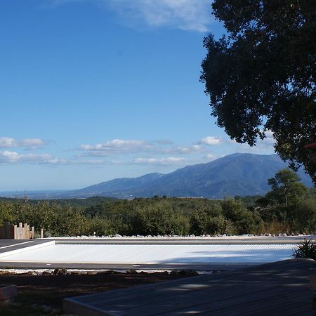 Mas La Marchette Panzió Céret Kültér fotó