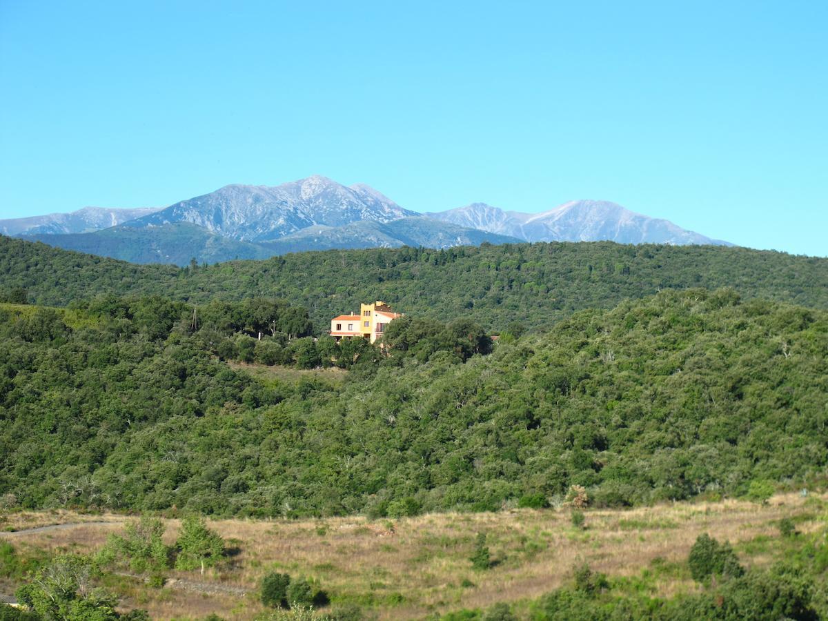 Mas La Marchette Panzió Céret Kültér fotó